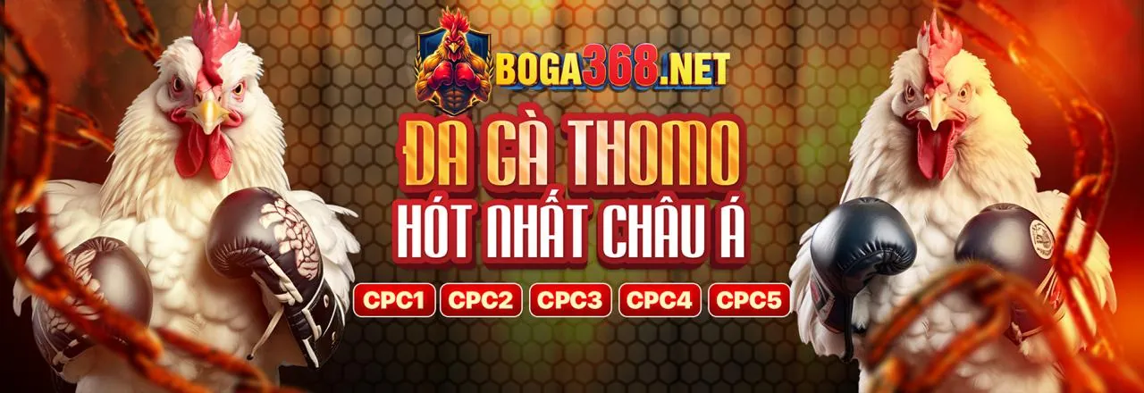 Quản lý tài khoản người dùng 69vn